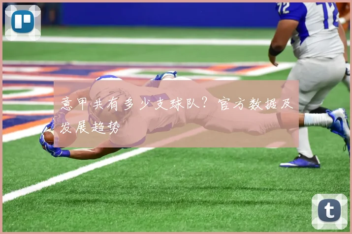 意甲共有多少支球队？官方数据及发展趋势