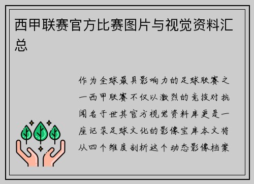 西甲联赛官方比赛图片与视觉资料汇总